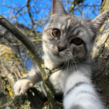 Rotterdam, Tinyhouse Nearby Kralingen