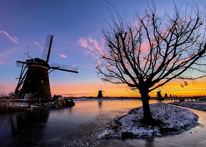 Pensjonat Rotterdam, Tinyhouse Nearby Kralingen 3*