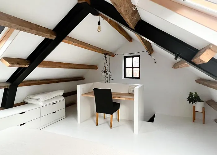 Pensjonat Rotterdam, Tinyhouse Nearby Kralingen