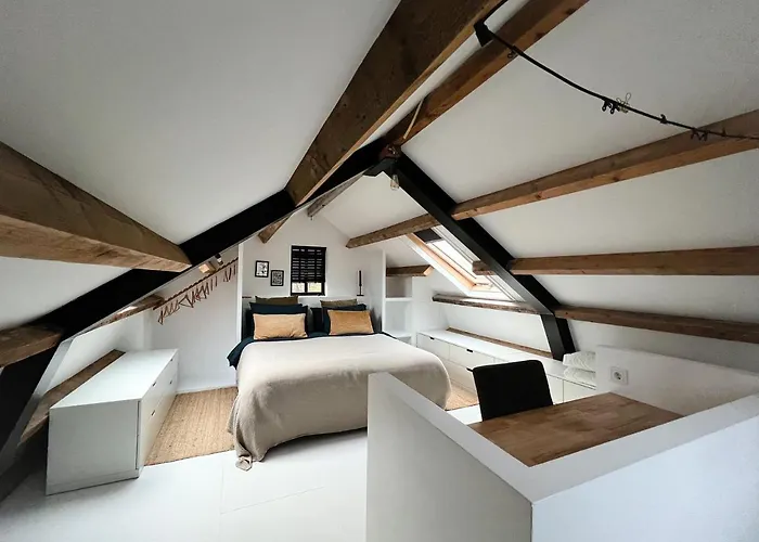 Pensjonat Rotterdam, Tinyhouse Nearby Kralingen Rotterdam