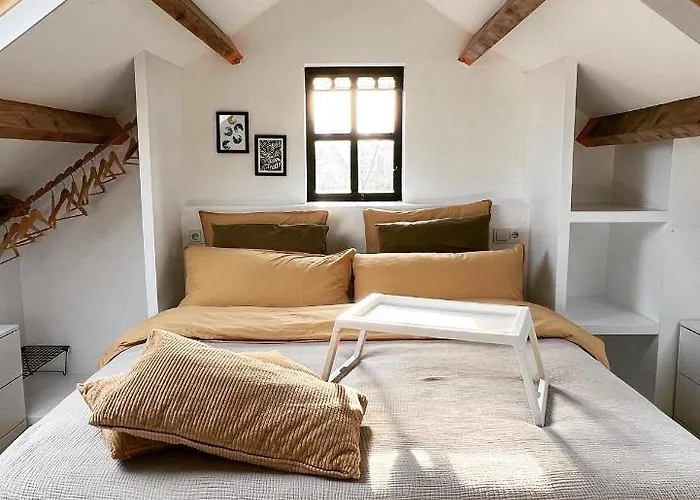 Pensjonat Rotterdam, Tinyhouse Nearby Kralingen