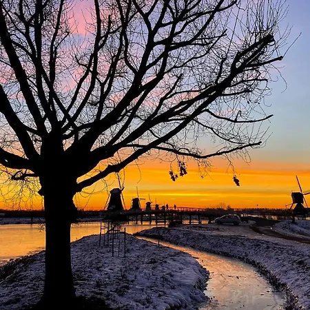 Rotterdam, Tinyhouse Nearby Kralingen Affittacamere 3*