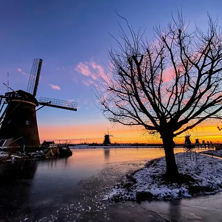 Affittacamere Rotterdam, Tinyhouse Nearby Kralingen 3*