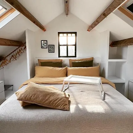 Konukevi Rotterdam, Tinyhouse Nearby Kralingen