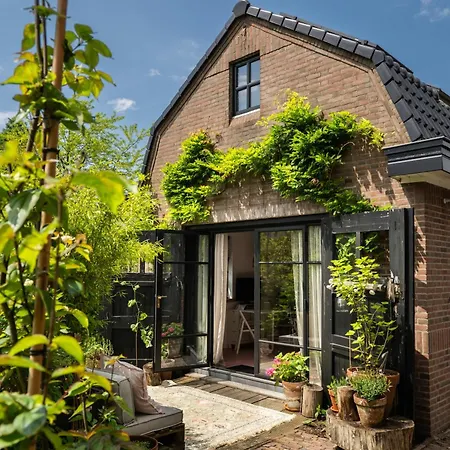 Guest house Rotterdam, Tinyhouse Nearby Kralingen Rotterdam