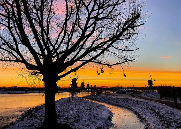 Rotterdam, Tinyhouse Nearby Kralingen Pensión 3*